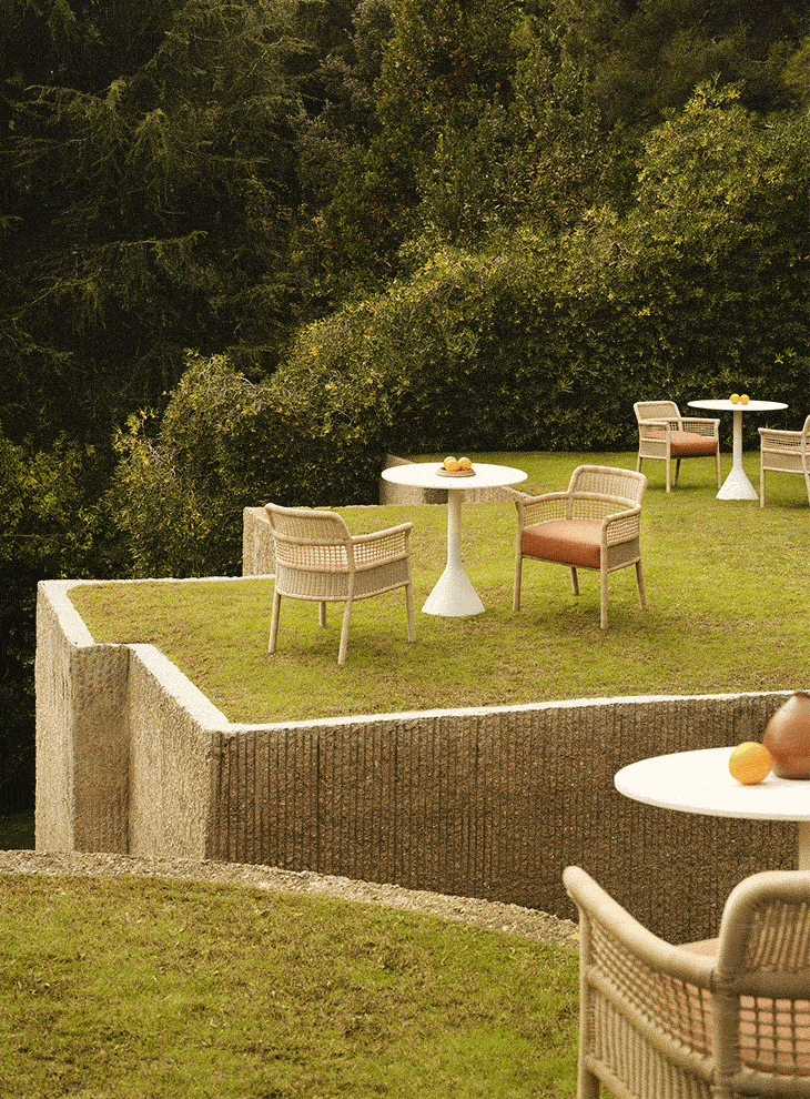 ESCALA DINING ARMCHAIR | POINT, SL